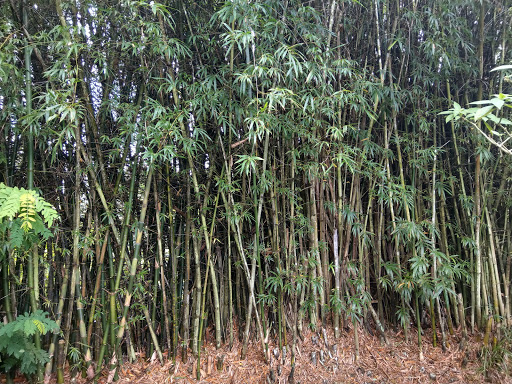 Tourist Attraction «Butterfly World», reviews and photos, 3600 W Sample Rd, Coconut Creek, FL 33073, USA