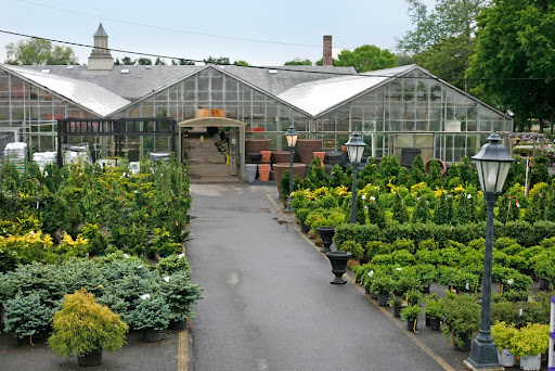 Mahoney's Garden Center