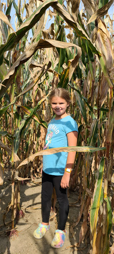 Christmas Tree Farm «Piney Acres», reviews and photos, 1115 E 1000 N, Fortville, IN 46040, USA