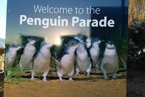Penguin Parade image