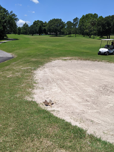 Golf Course «Rogers Park Golf Course», reviews and photos, 7910 N 30th St, Tampa, FL 33610, USA