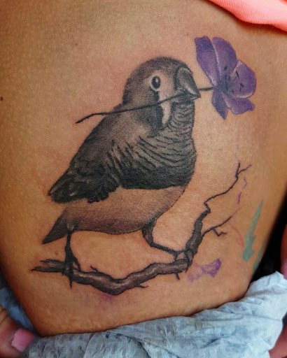 Explore tattoo shading ideas filler, creative tattoo ideas in Roscoe, available at Elevated Ink Tattoo