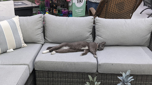 Hardware Store «Fresno Ag Hardware», reviews and photos, 4590 N First St, Fresno, CA 93726, USA