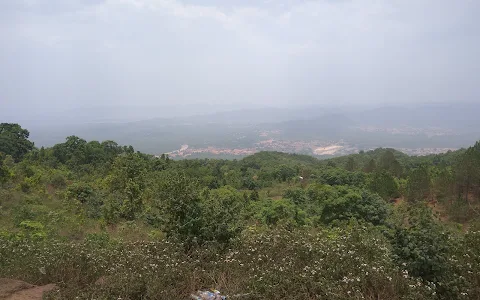 Koel View Point image
