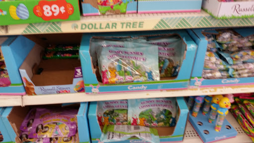 Dollar Store «Dollar Tree», reviews and photos, 1201 Quentin Rd #8, Lebanon, PA 17042, USA
