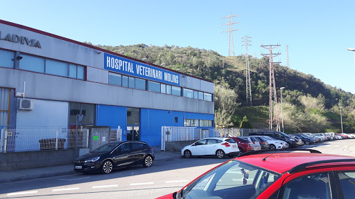 Hospital Veterinario Molins