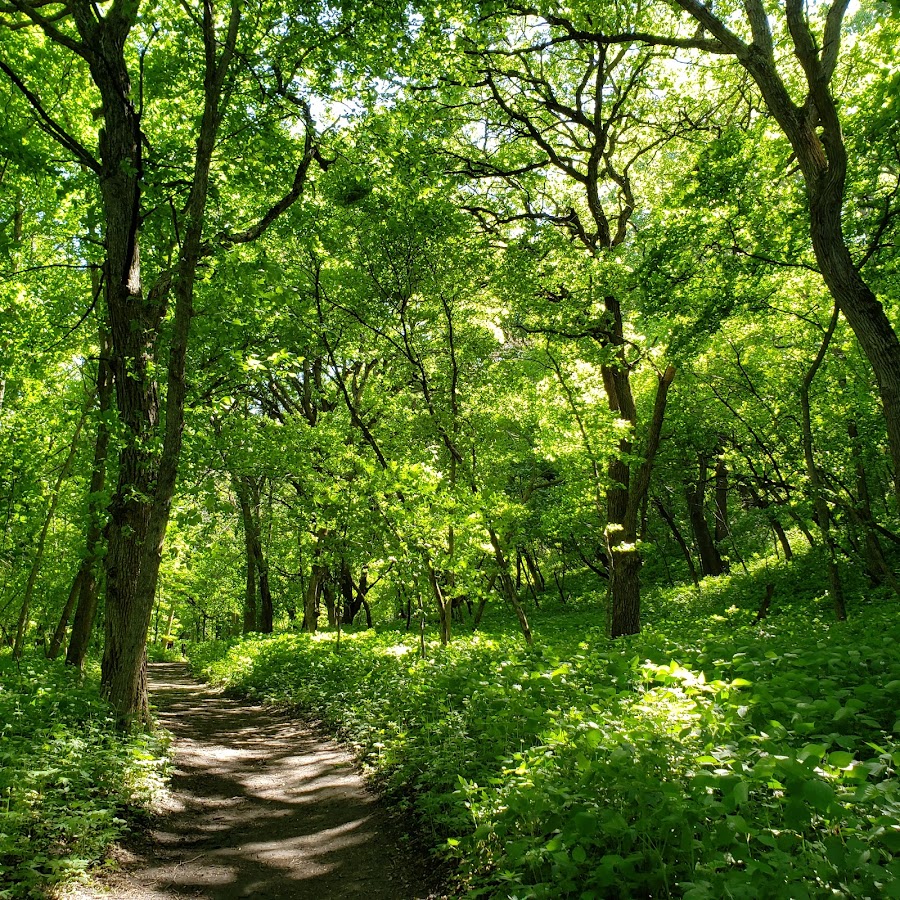 Newton Hills State Park