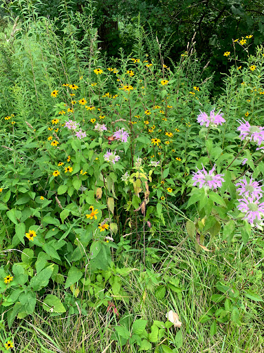 Learning Center «Sagawau Environmental Learning Center», reviews and photos, 12545 111th St, Lemont, IL 60439, USA