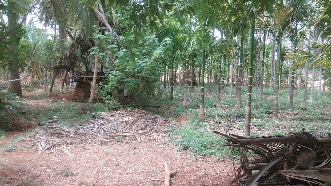 HM Nayaka