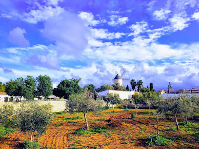 The Montessori School of Mallorca