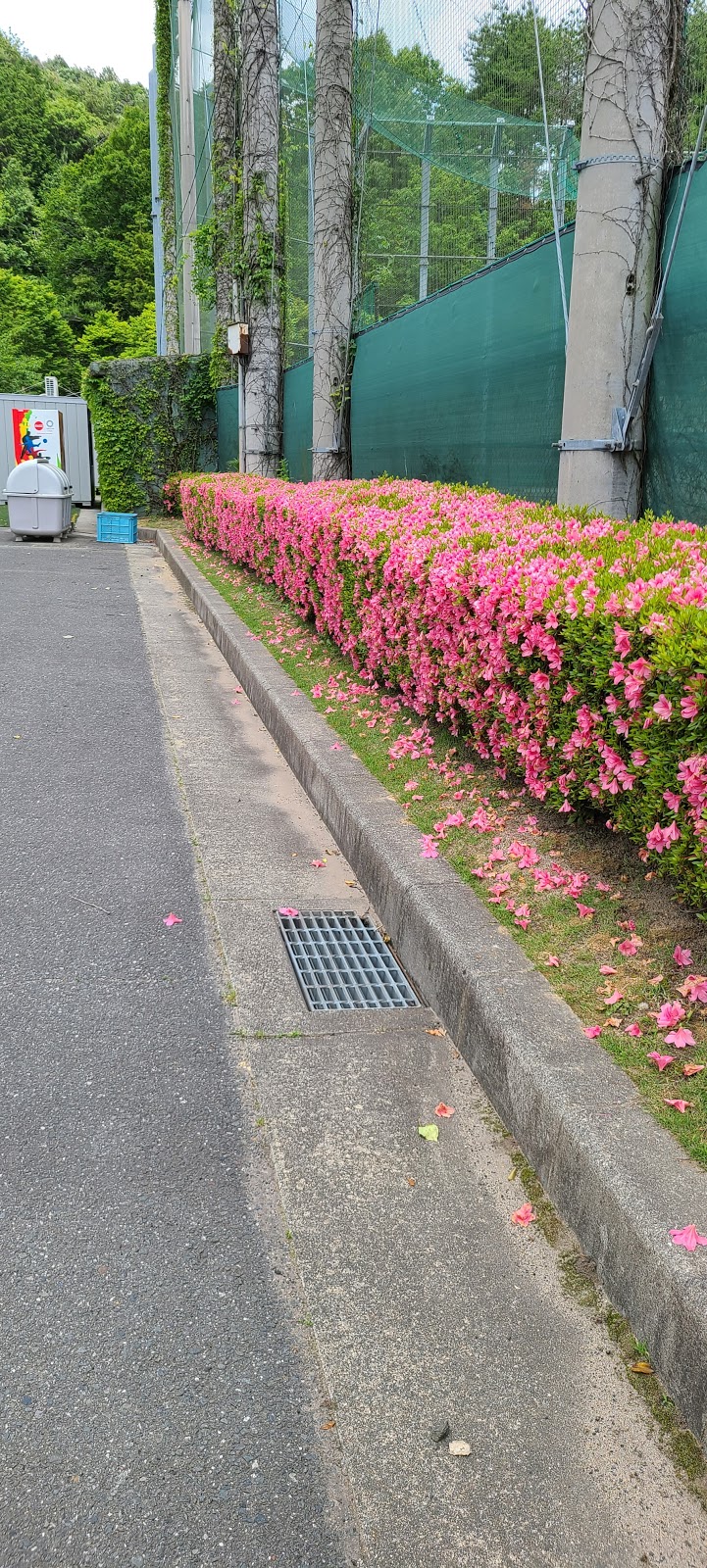 箕面学園高等学校 茨木グラウンド