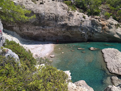 Photo de Buyuk Tas Koyu situé dans une zone naturelle