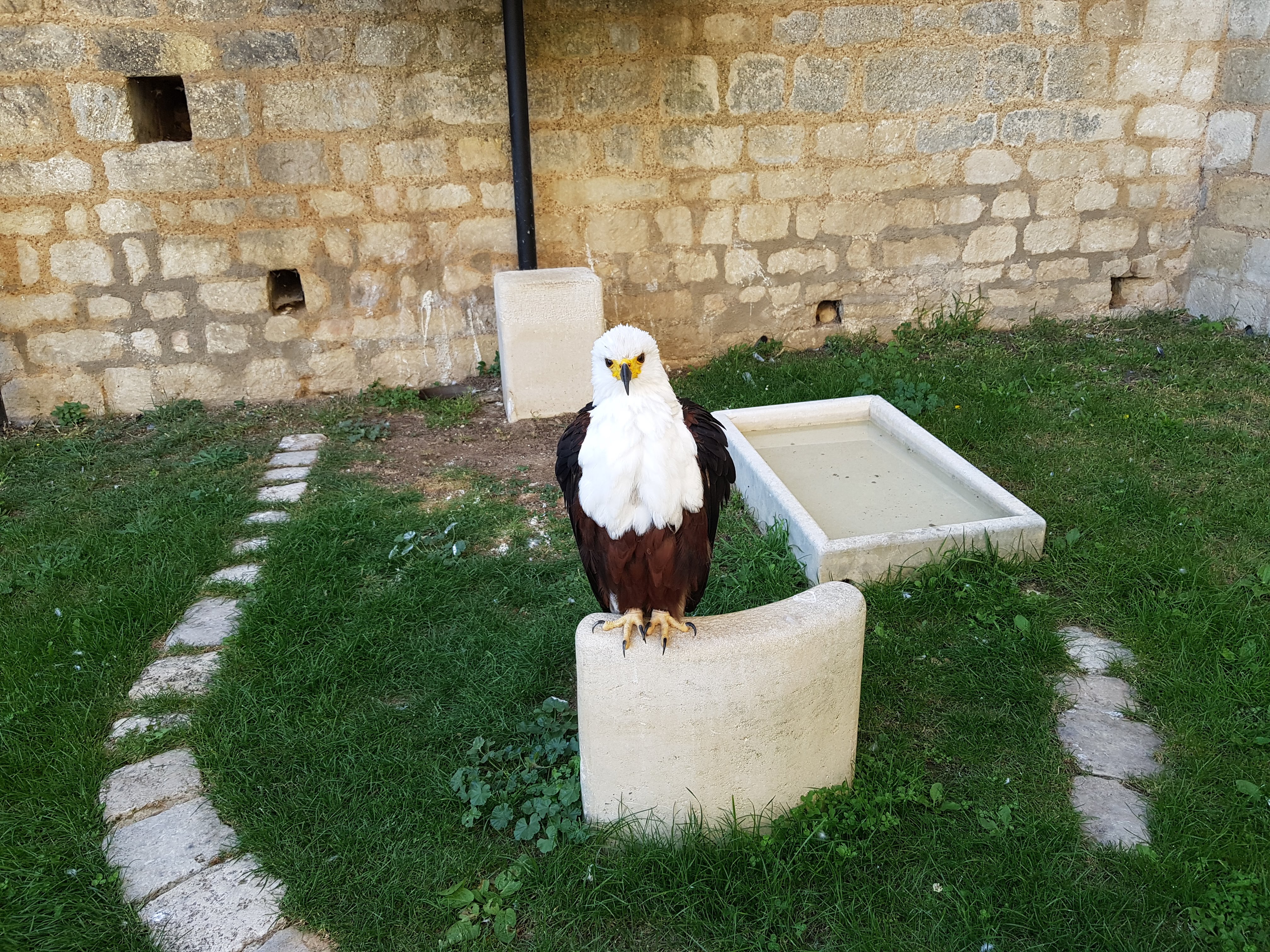 Photo n° 21 de l'avis de Alexandre.L fait le 24/09/2017 à 17:00