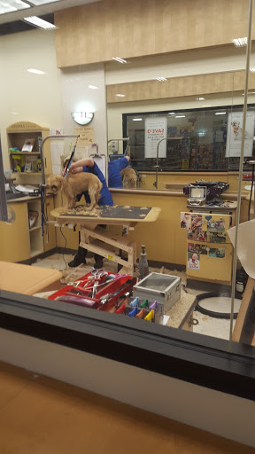 Pet Supply Store «PetSmart», reviews and photos, 10 Traders Way, Salem, MA 01970, USA