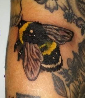 Explore bear paw tattoo ideas, creative tattoo ideas in Nevada, available at Generation X Tattoos and Piercings