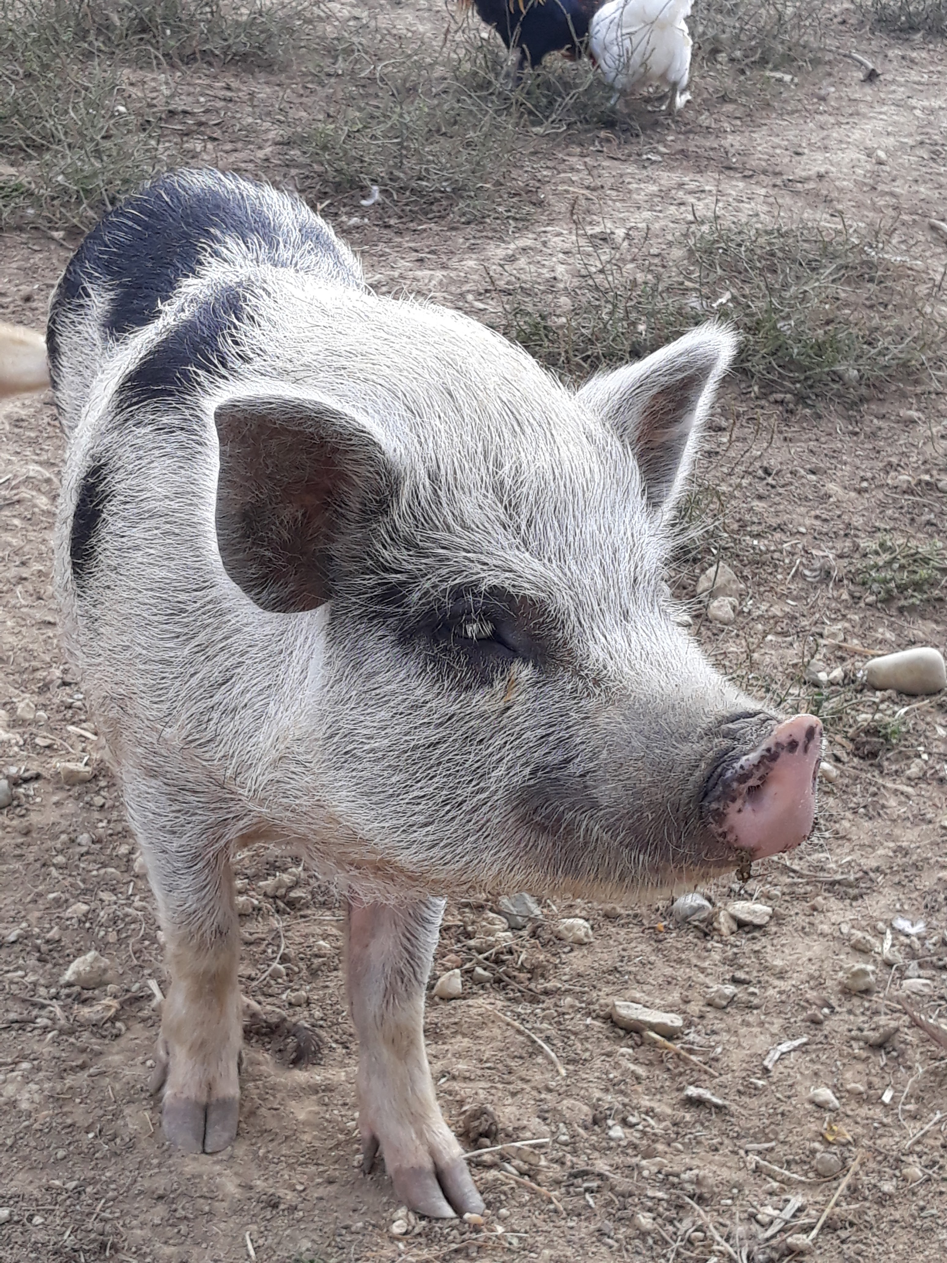Photo n° 2 de l'avis de peter.o fait le 30/09/2018 à 16:40
