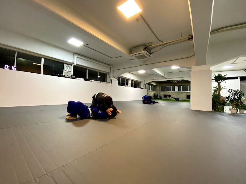 SISU MMA and BJJ