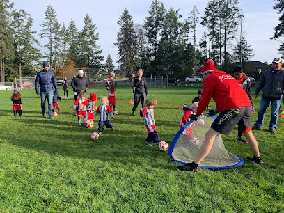 Little Kickers Vancouver Island - Soccer for Kids