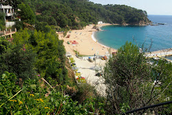 Photo de Plage de Canyelles avec plusieurs baies spacieuses