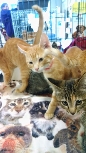 Pet Supply Store «Petco Animal Supplies», reviews and photos, 3731 Gateway Dr, Eau Claire, WI 54701, USA