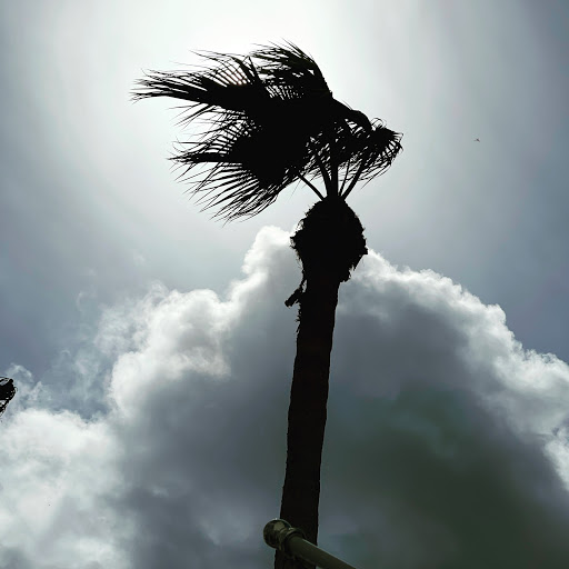 Water Park «Splash Harbour Water Park», reviews and photos, 399 2nd St, Indian Rocks Beach, FL 33785, USA