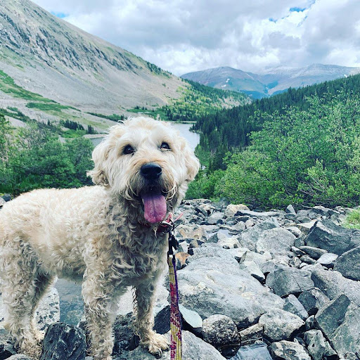 Auto Insurance Agency «Stephanie Sponder - State Farm Insurance Agent», reviews and photos