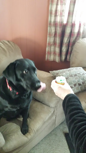 Public Golf Course «Neshaminy Valley Golf Club - OPEN to PUBLIC», reviews and photos, 440 Almshouse Rd, Richboro, PA 18954, USA