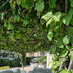 Photo n°2 de l'avis de Sarah.u fait le 28/08/2022 à 13:11 sur le  The Grand Hotel Rimini à Rimini