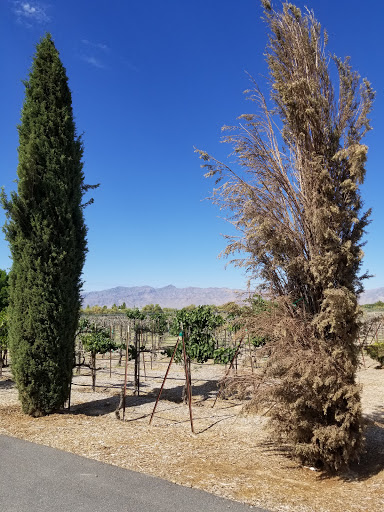 Winery «Sanders Family Winery», reviews and photos, 3780 E Kellogg Rd, Pahrump, NV 89061, USA
