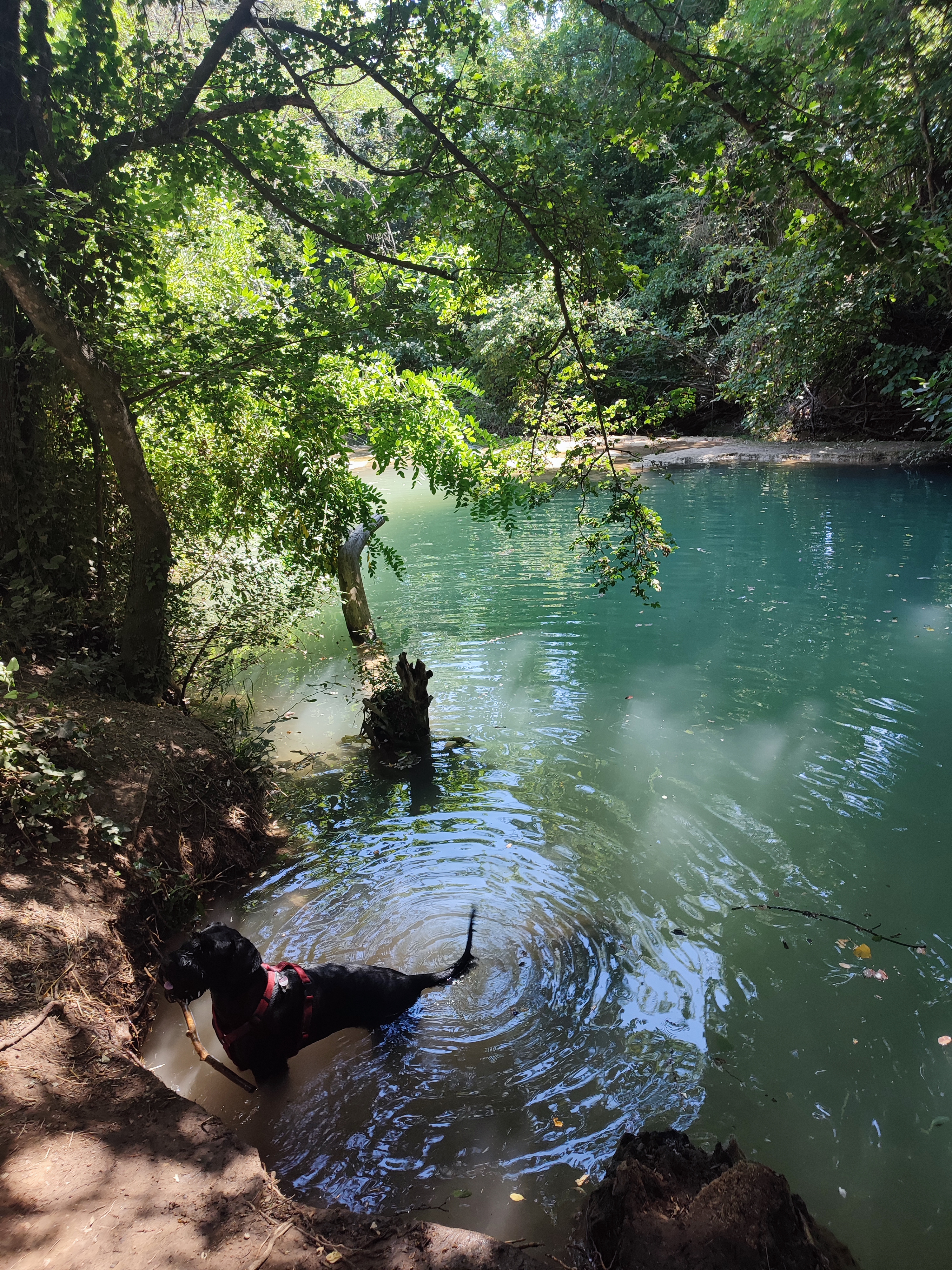 Photo n° 1 de l'avis de Constanze.a fait le 15/08/2023 à 12:34