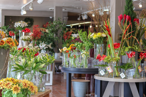 Florist «Ah Sam Florist», reviews and photos, 2645 S El Camino Real, San Mateo, CA 94403, USA