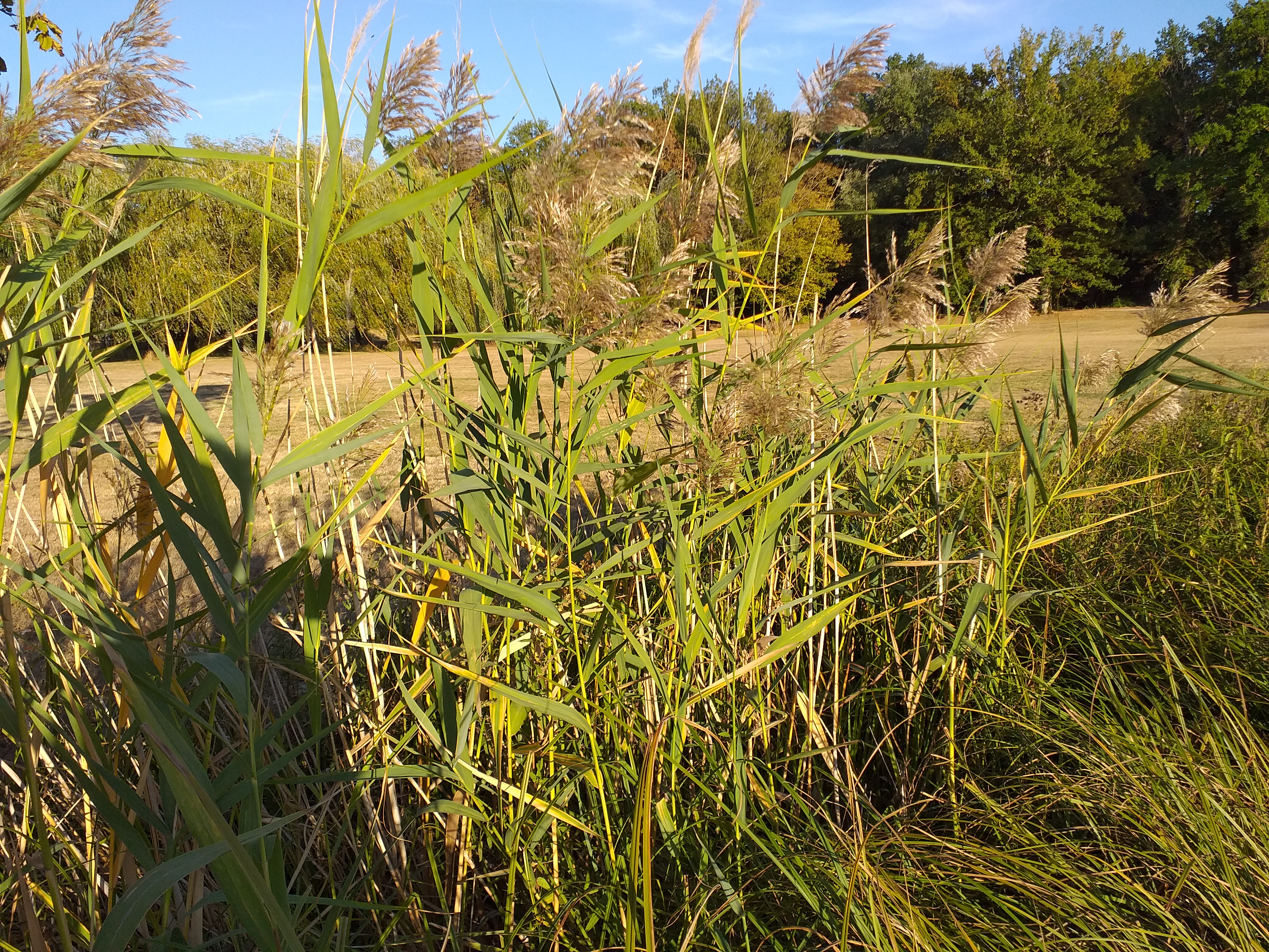Photo n° 1 de l'avis de Sabrina.e fait le 22/09/2019 à 09:47