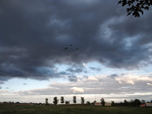 Supermarket «ALDI», reviews and photos, 801 Interstate Dr, Champaign, IL 61822, USA