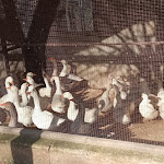 Photo n°16 de l'avis de Doriano.e fait le 14/01/2021 à 21:28 sur le  Agriturismo Orsaiola à Urbania