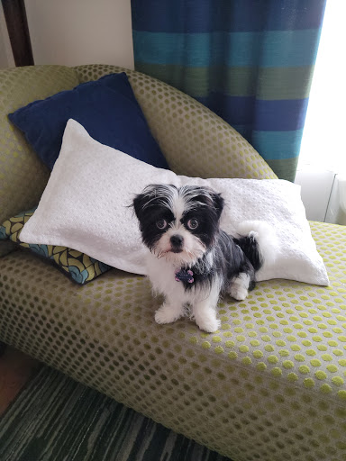 Pet Supply Store «Petco Animal Supplies», reviews and photos, 7 Glenwood Rd, Clinton, CT 06413, USA