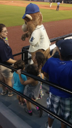 Stadium «Hank Aaron Stadium», reviews and photos, 755 Bolling Brothers Blvd, Mobile, AL 36606, USA