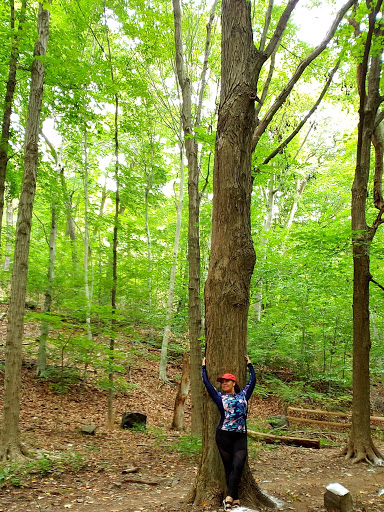 Museum «Eli Whitney Museum», reviews and photos, 915 Whitney Ave, Hamden, CT 06517, USA