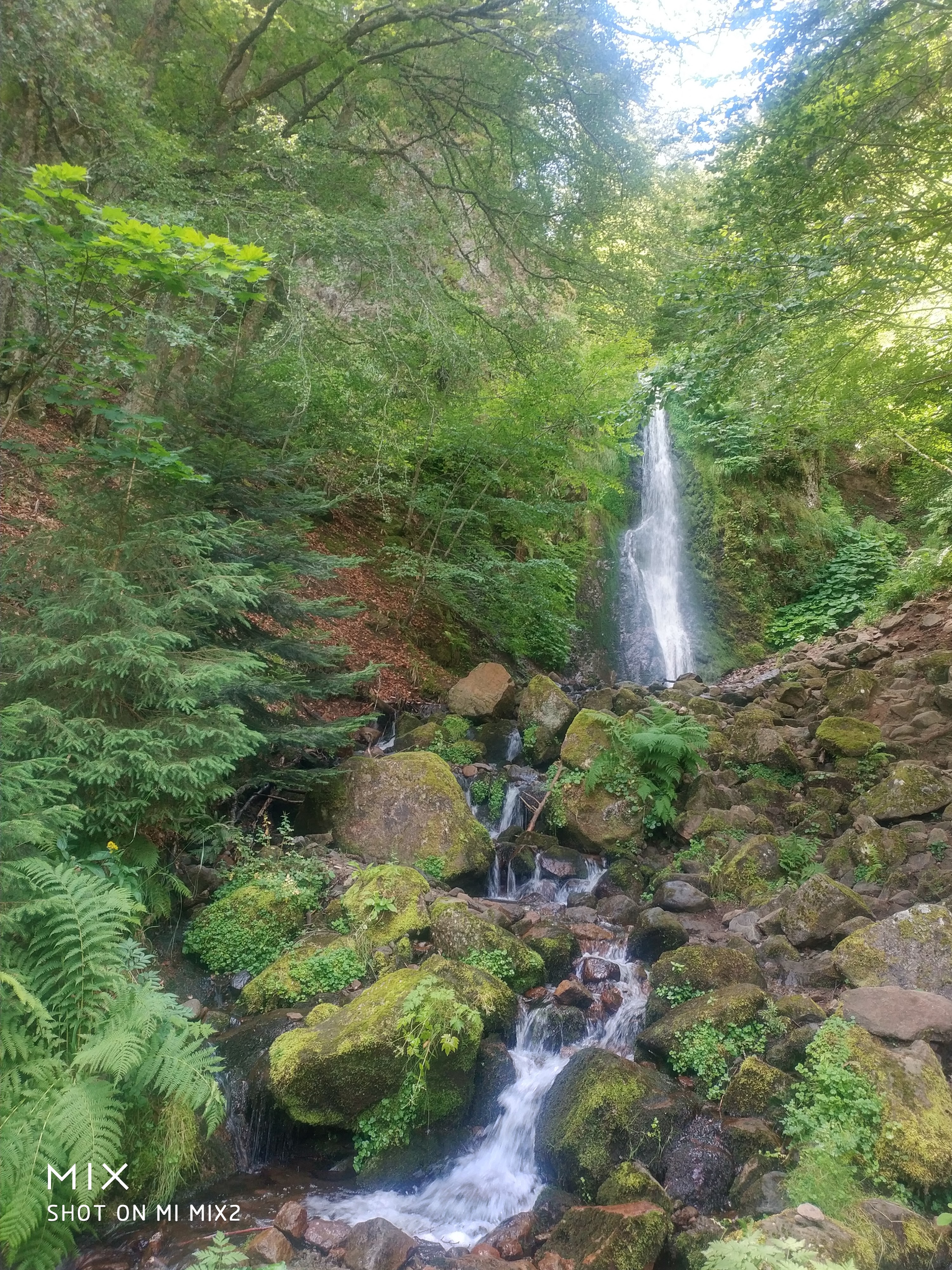 Photo n° 3 de l'avis de francois.r fait le 23/07/2020 à 20:38