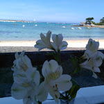 Photo n° 2 de l'avis de jacques. fait le 02/06/2017 à 15:50 pour La Corniche à Plounéour-Brignogan-plages