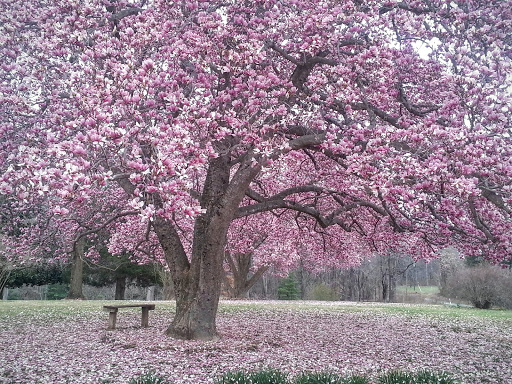 State Park «Caledon State Park», reviews and photos, 11617 Caledon Rd, King George, VA 22485, USA