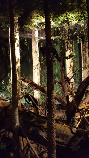 Zoo «Fragile Desert», reviews and photos, 3300 Golf Rd, Brookfield, IL 60513, USA