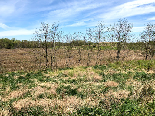 Boat Ramp «Bladensburg Waterfront Park», reviews and photos, 4601 Annapolis Rd, Bladensburg, MD 20710, USA