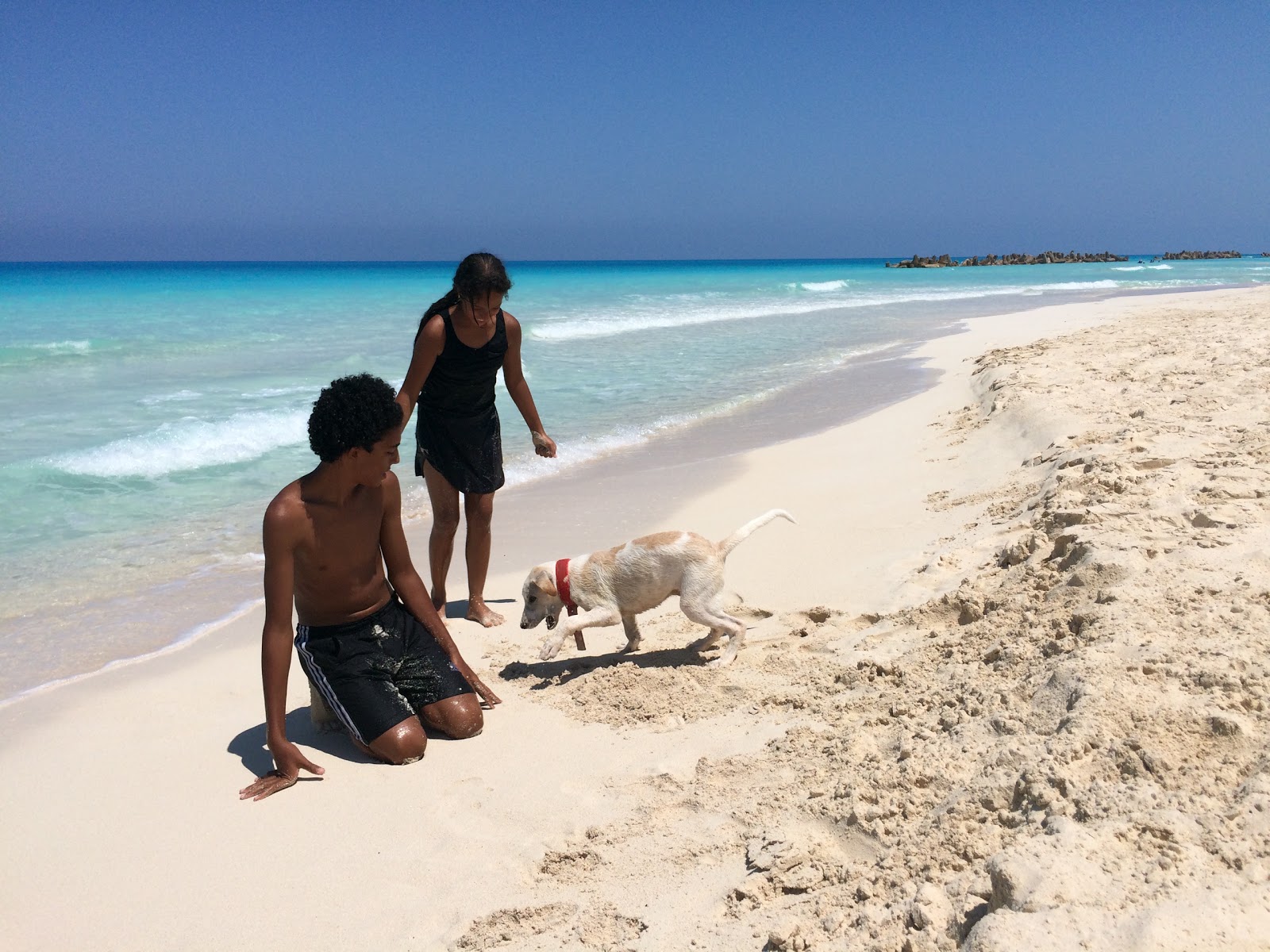 Φωτογραφία του El-Rowad Beach με μακρά ευθεία ακτή