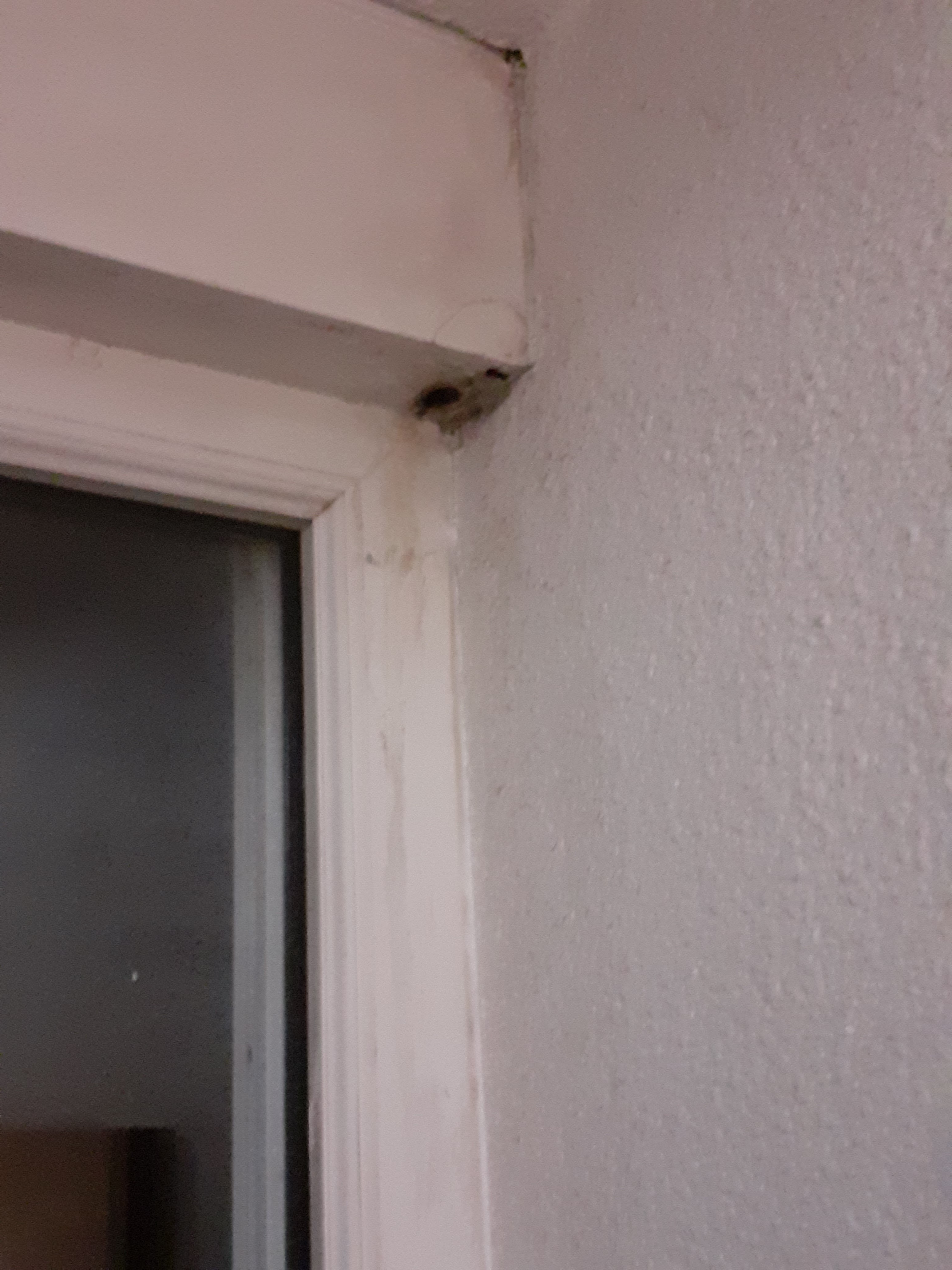 Photo n° 10 de l'avis de D. fait le 19/08/2021 à 15:46