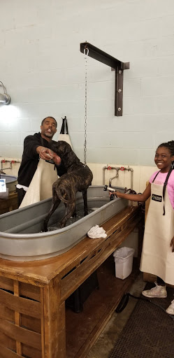 Pet Supply Store «Wags & Whiskers - West Nashville», reviews and photos, 3731 Charlotte Ave, Nashville, TN 37209, USA