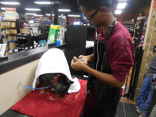 Pet Supply Store «Pet Valu», reviews and photos, 3475 Berlin Turnpike, Newington, CT 06111, USA