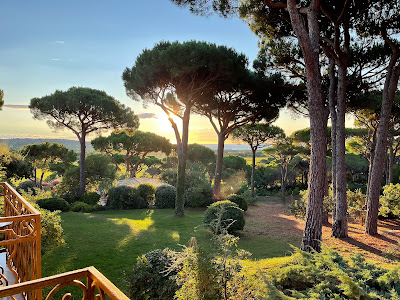 Colpaert Immobilier de Prestige à Saint-Tropez