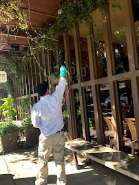 Real Pest Management Inc. - Photo 9 - Car repair in , Elk Grove