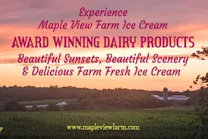 Maple View Farm Ice Cream image