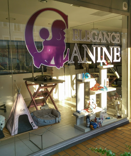 Magasin d'articles pour animaux ELEGANCE CANINE Le Chesnay-Rocquencourt